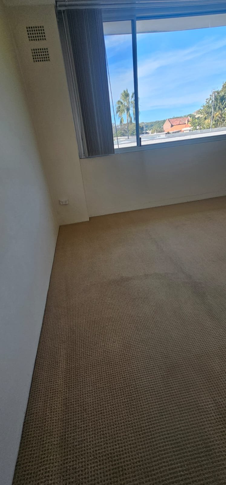Professional carpet steam cleaning Sydney — hot water extraction by Home Cleaners Sydney