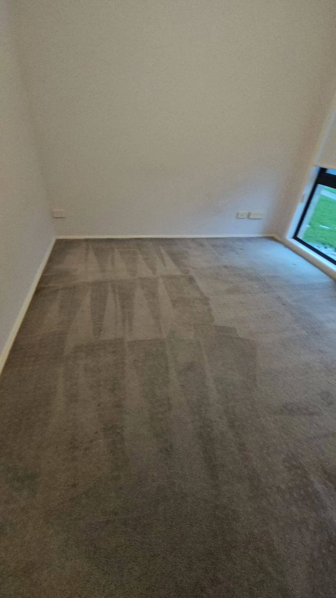 Carpet steam cleaning — Sydney master bedroom